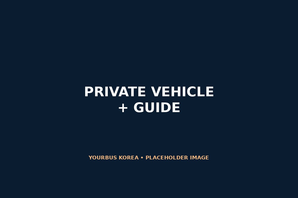 Private tour vehicle and professional guide service in Korea